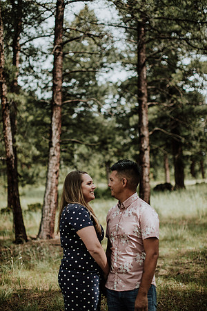 caleb-heather-engagement-evergreen-1007