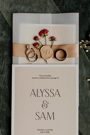 Alyssa-Sam-Wisneski-1017