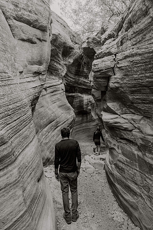 Laura-Jeffrey-Miller-Zion-1179