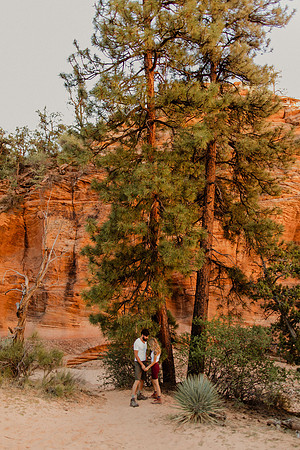 Laura-Jeffrey-Miller-Zion-1329