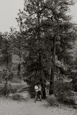 Laura-Jeffrey-Miller-Zion-1331