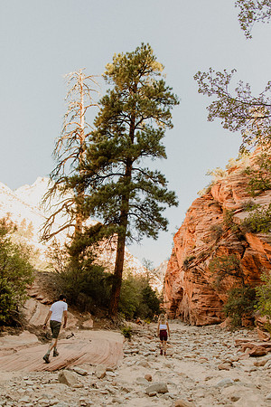 Laura-Jeffrey-Miller-Zion-1421