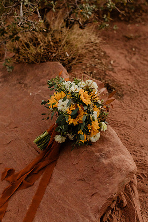 Laura-Jeffrey-Miller-Zion-1748