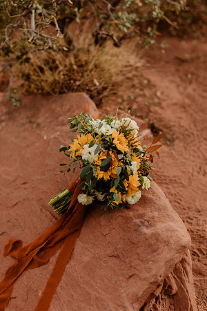 Laura-Jeffrey-Miller-Zion-1750