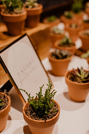 Laura-Jeffrey-Miller-Reception-1170