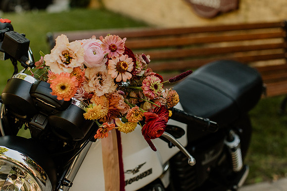 Jen-Cole-Krueger-Wedding-1594