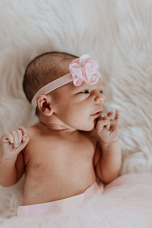 avery-newborn-family-1014