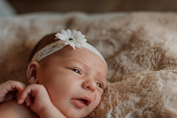 avery-newborn-family-1191