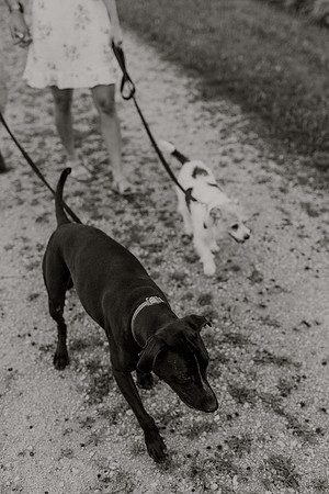 Paulina-Matt-Engagement-1063