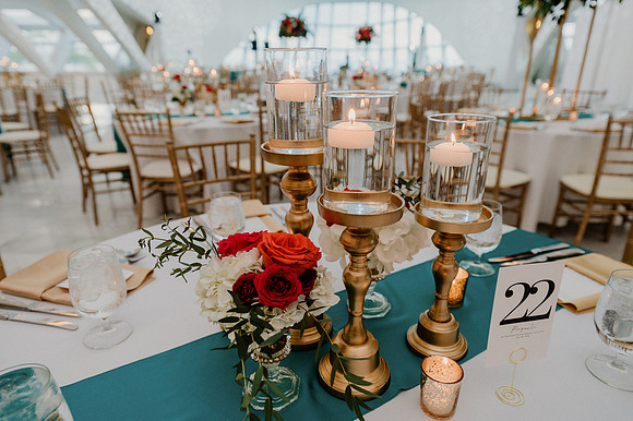 Anu-Omesh-Reception-1042