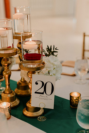 Anu-Omesh-Reception-1062