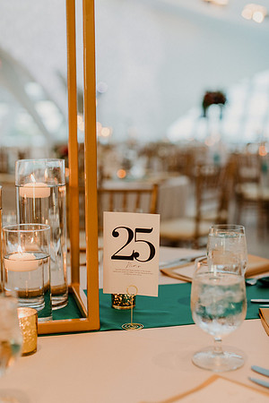 Anu-Omesh-Reception-1063