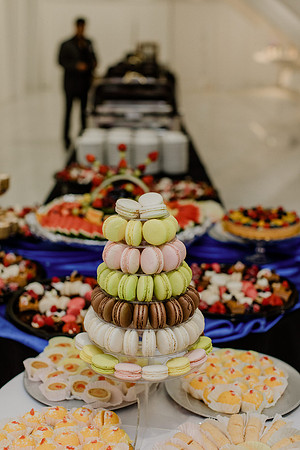 Anu-Omesh-Reception-1083