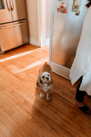 Adrianna-Larry-Home-1004