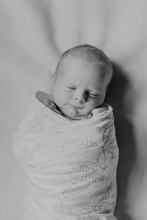Marcus-Karnitz-Newborn-1143