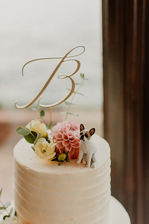 Ellie-Andrew-Baumann-1704