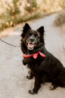 KT-preview-1016