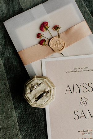 Alyssa-Sam-Wisneski-1014
