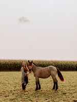 Sam-Horses-1001