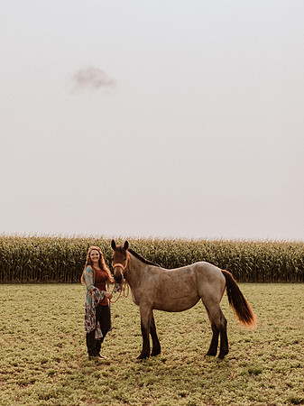 Sam-Horses-1001