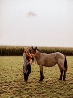 Sam-Horses-1003