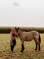 Sam-Horses-1004
