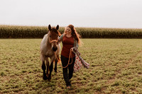 Sam-Horses-1009