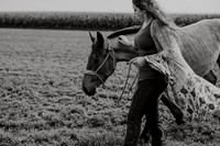 Sam-Horses-1014