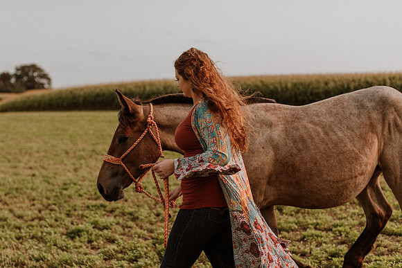 Sam-Horses-1015