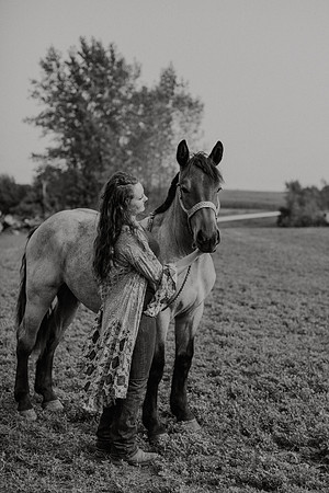 Sam-Horses-1027