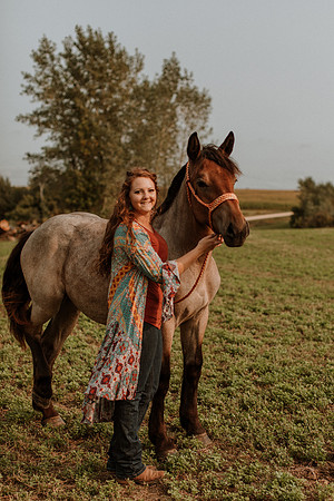 Sam-Horses-1028