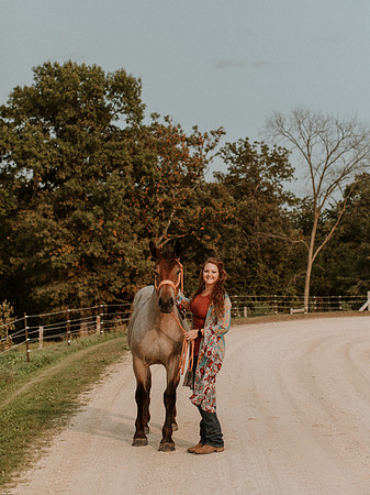 Sam-Horses-1031