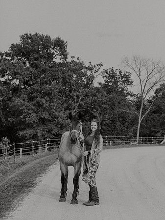 Sam-Horses-1033