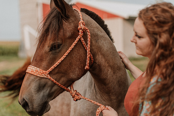 Sam-Horses-1044