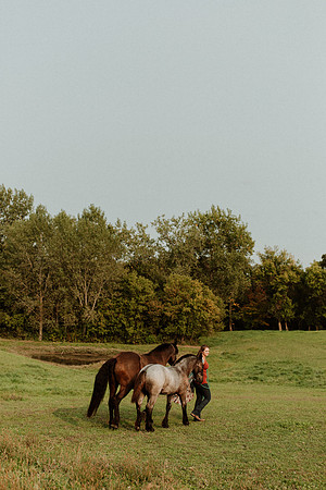 Sam-Horses-1048