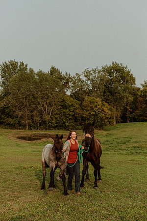 Sam-Horses-1049
