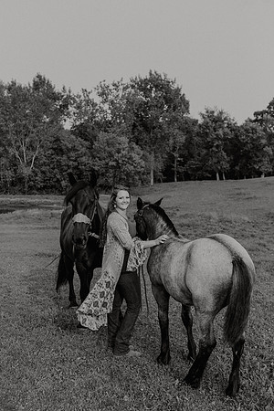 Sam-Horses-1052
