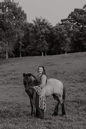 Sam-Horses-1055
