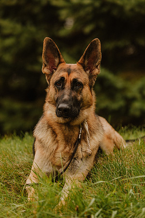 Randall-Family-2020-1092