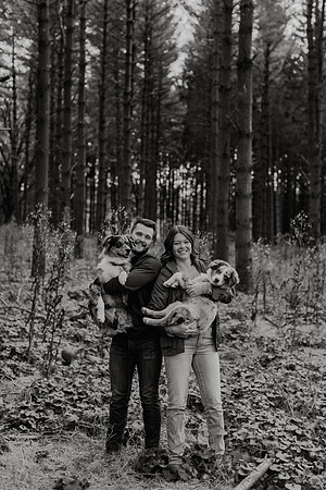 Ashley-Wyatt-Dogs-1012