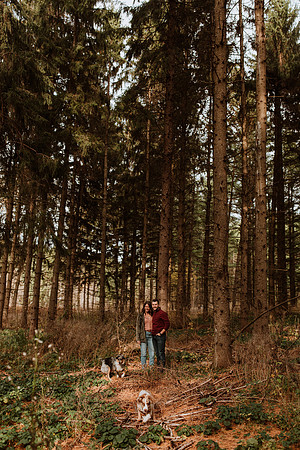 Ashley-Wyatt-Dogs-1014