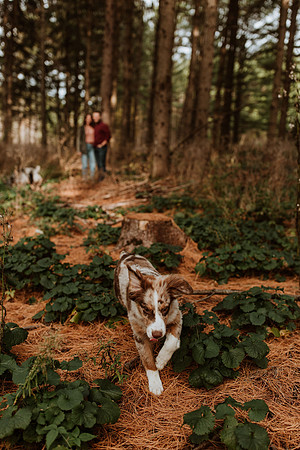 Ashley-Wyatt-Dogs-1015
