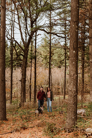 Ashley-Wyatt-Dogs-1022
