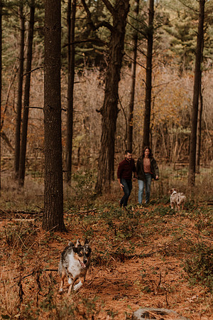 Ashley-Wyatt-Dogs-1025