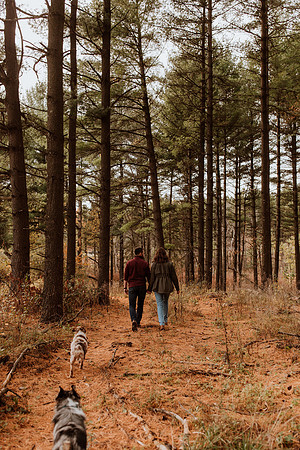 Ashley-Wyatt-Dogs-1051