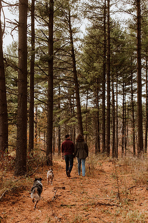 Ashley-Wyatt-Dogs-1053