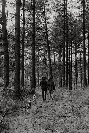 Ashley-Wyatt-Dogs-1054