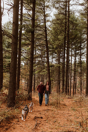 Ashley-Wyatt-Dogs-1062