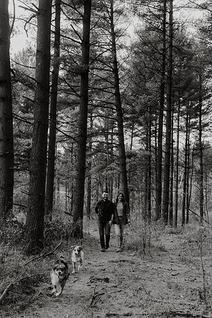 Ashley-Wyatt-Dogs-1063