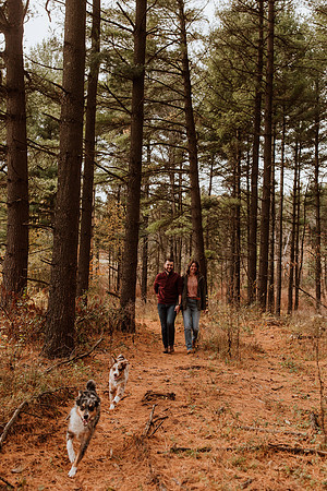 Ashley-Wyatt-Dogs-1064